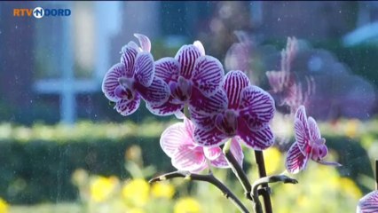 Zorgcentrum Vredewold in Leek bestaat 50 jaar - RTV Noord