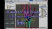 Human Anatomy Online - How to Download 3D Anatomy Software FREE