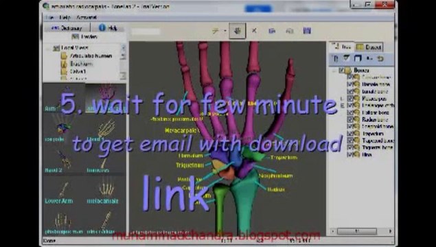 Human Anatomy Online - How to Download 3D Anatomy Software FREE