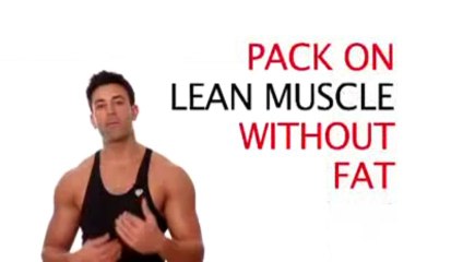 The Muscle Maximizer Shares The No Hype Truth About ALL Bodybuilding Supplements