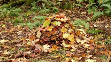 Zoubi Doubi : Le barrage de Zoubiville