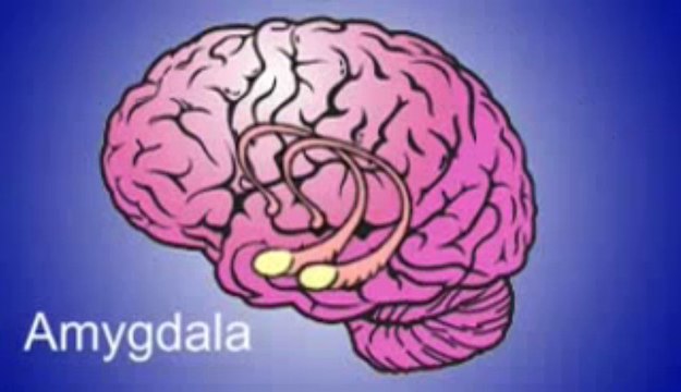 Cure for Panic and Anxiety, The Charles Linden Method Review