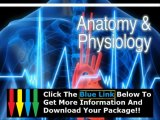 Human Anatomy Physiology Online Course Accredited   Human Anatomy Course University