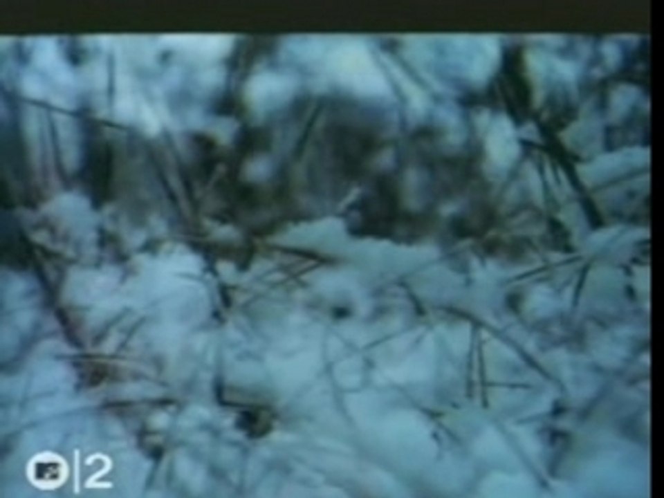 Stina Nordenstam - Little Star