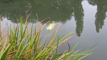 Sous-marin Neptune SB-1 Thunder Tiger Jules Verne