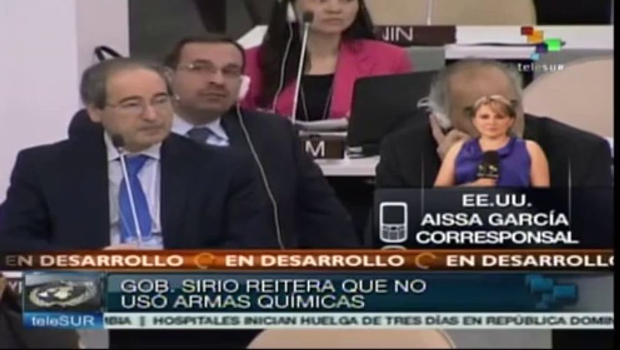 (Vídeo) No hay guerra civil en Siria, sino una guerra contra el terrorismo