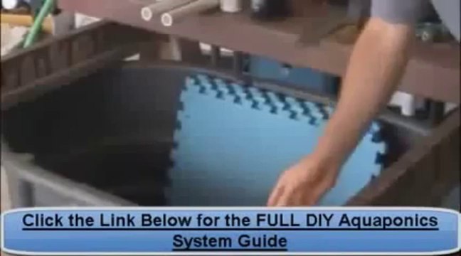 Aquaponics 4 you REVIEW Organic vegetable gardening YouTube