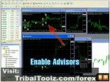 Forex Trendy-Automated Forex Autotrader Best Forex Charting Software-The Best Forex Software