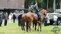Horse decides he's had enough during veterans reunion
