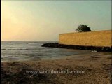 An amazing view of the sea from Vattakottai fort