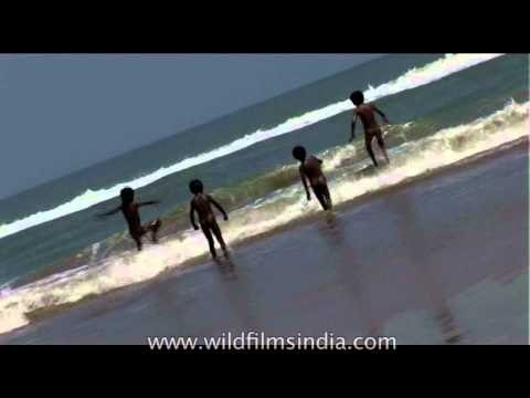 Frolicking at Marina: Beaches of Chennai