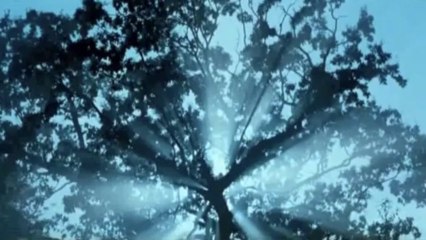 группа Аго - Despertado (Пробужденный)