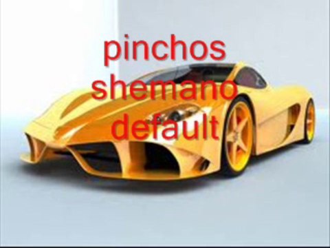 pinchos shemano book