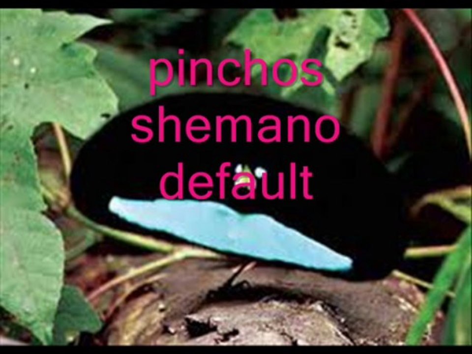 pinchos shemano slideshare