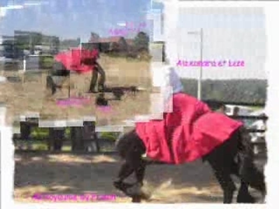 video de la journée frison 2006