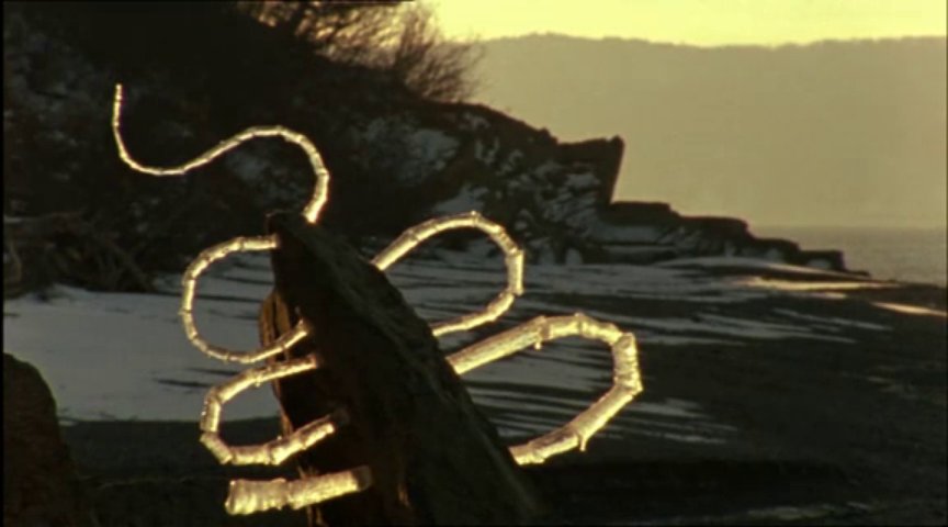 Andy Goldsworthy's Rivers and Tides