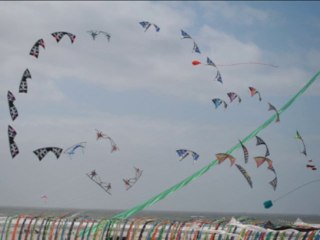 cerf volants  1 Avril 2013