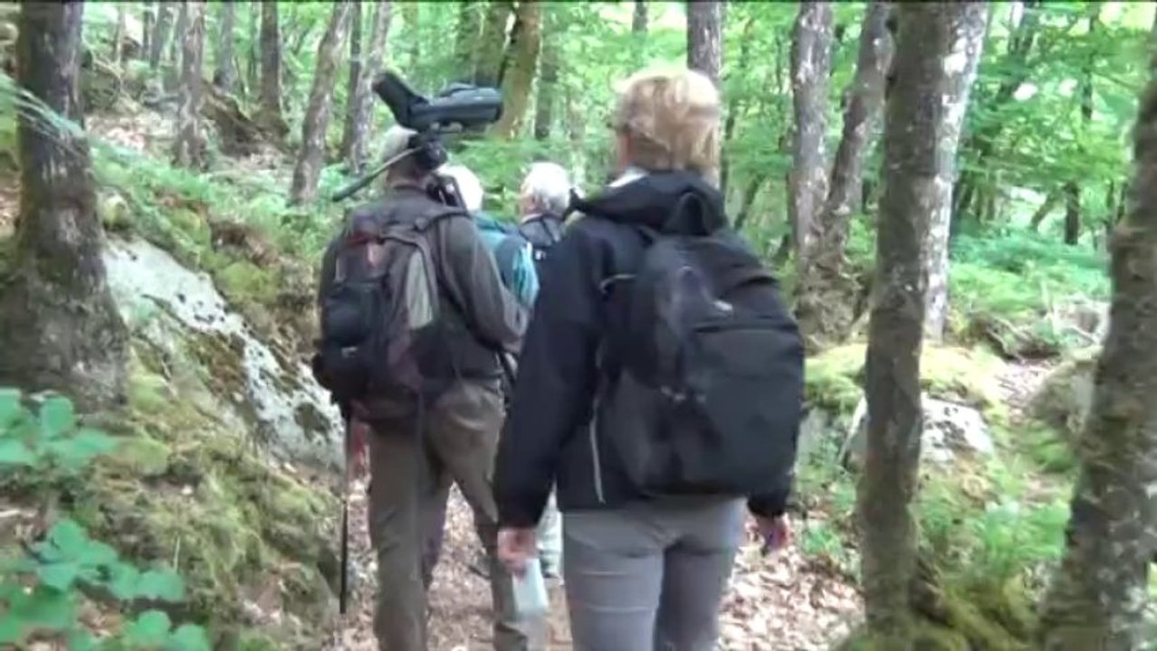 Sortie ornitho  dans les landes de Locarn