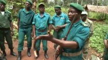 Rain Forest and Climate Protection in the Congo Basin | Global 3000