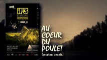 IF3 Europe 2013, au coeur du poulet (version courte)