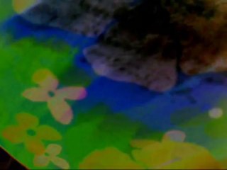 The Best Pessimist...Flowers Say It All