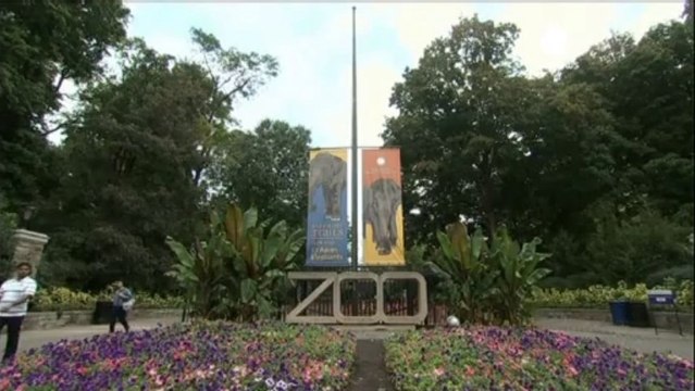 Usa: mancato accordo sul bilancio, a rischio i...