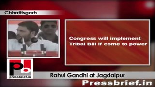 Rahul Gandhi in Chhattisgarh slams BJP Govt in the state for Maoist violence