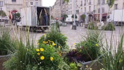 Un jardin éphémère place Saint-Sauveur à Caen