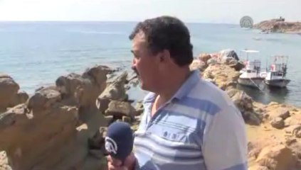 Hayvan figürlerini andıran kayalar