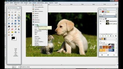 Cómo transformar una foto en un dibujo a lápiz utilizando Gimp.