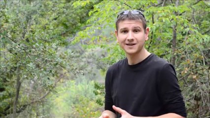 Lumière sur les vallons obscurs : Natura 2000