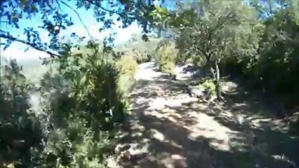 VTT - Lachens - Tanneron