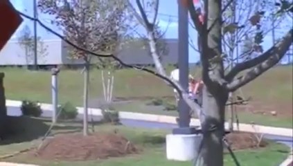 Fat Burning Furnace-A beautiful,sexy and fitted body as fast as possible!