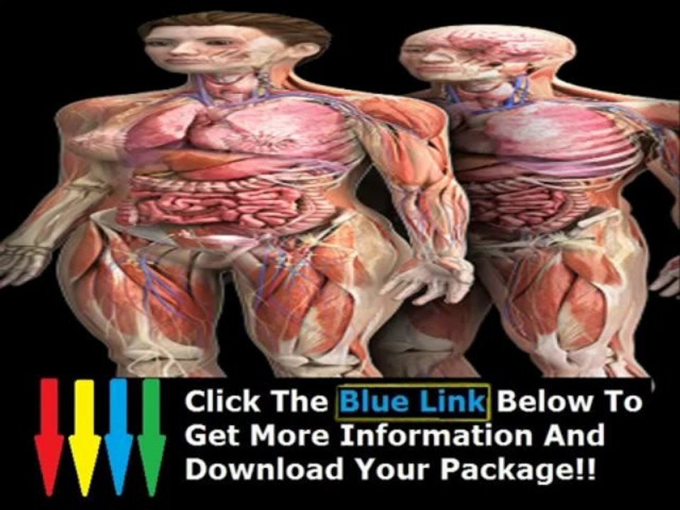 Human Anatomy Study Course + Human Anatomy Physiology Course Chicago