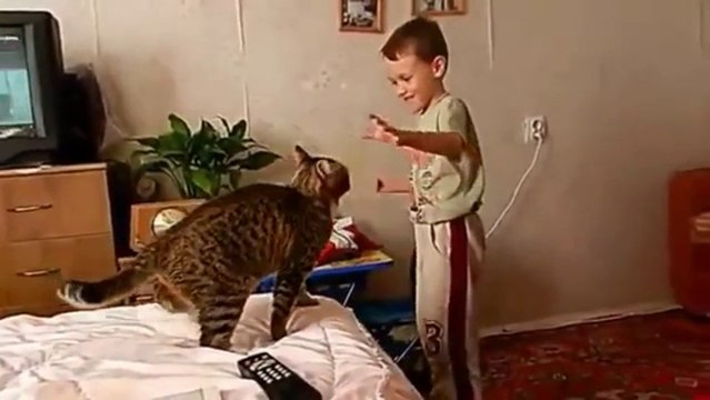 Cat attacks kid right in the face!!