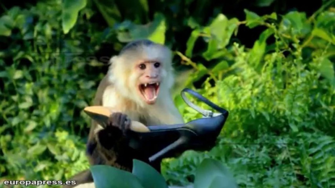 Katy Perry pensó en el suicidio tras su divorcio con Brand