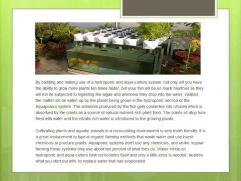 Aquaponics 4 You - Step by Step - How to build your own aquaponics system