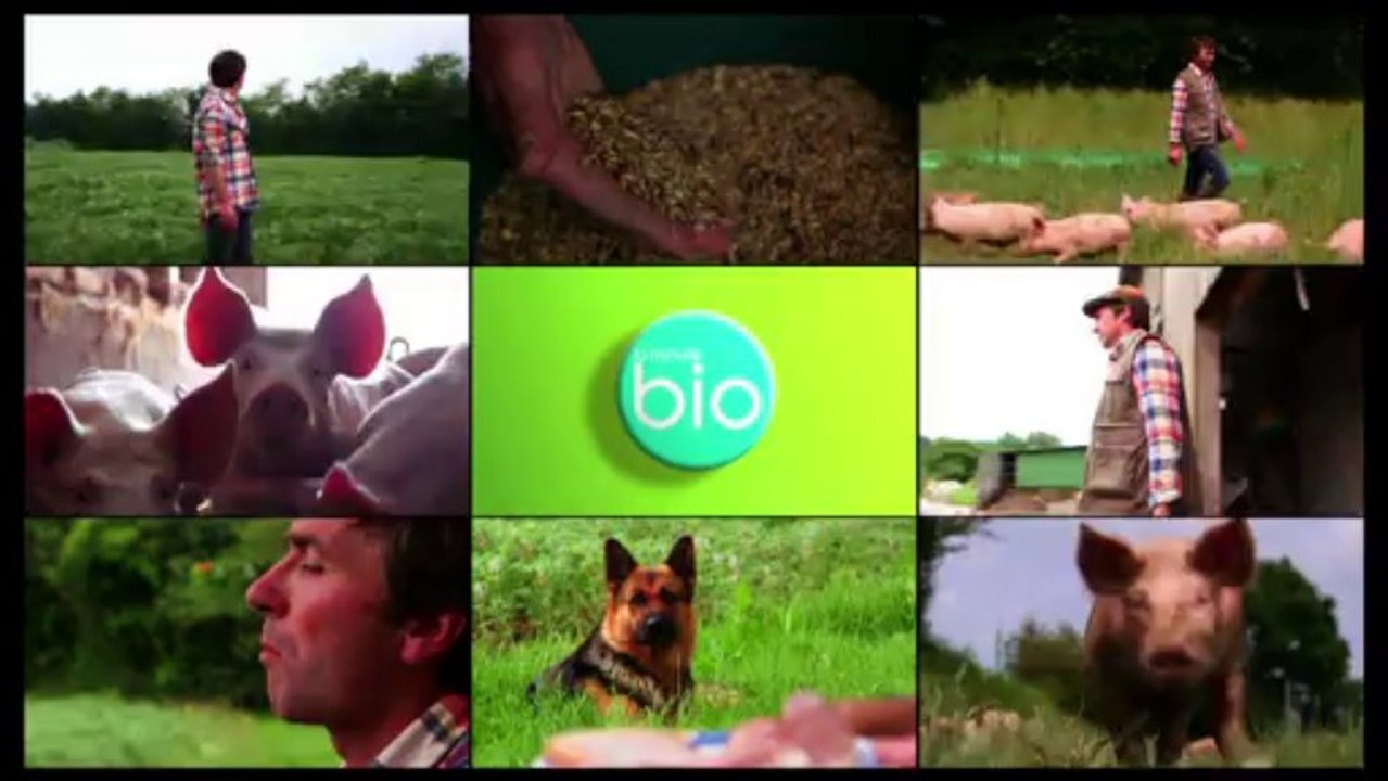 La Minute BIO - porcs bio, à la découverte d'un élevage exemplaire