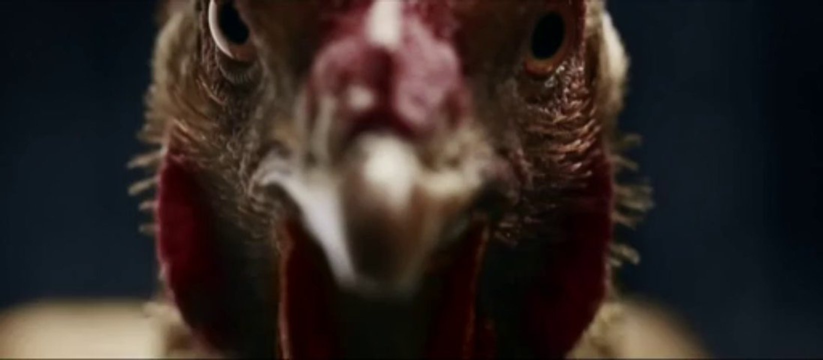 MAGIC BODY CONTROL