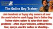 Therapy Dogs Training - The Online Dog Trainer