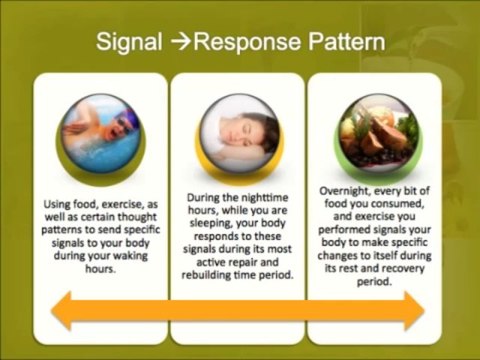 Primal Burn Fat Burner System- Primal Burn