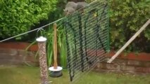Squirrels Go Nuts for Enthusiasts' Assault Course