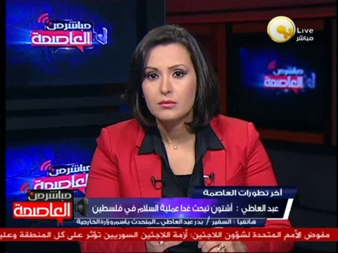 السفير بدر عبد العاطي: زيارة آشتون لبحث الملف الإقتصادي والقضية الفلسطينية والسورية