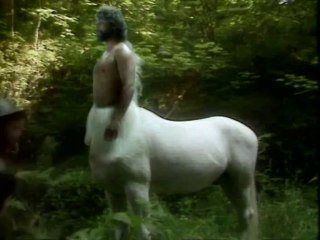 Chroniken von Narnia 07 Geheimnisvoller Ruf aus dem Zauberland