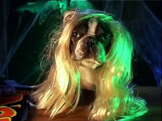 Samantha Oups ! Samantha fête Halloween