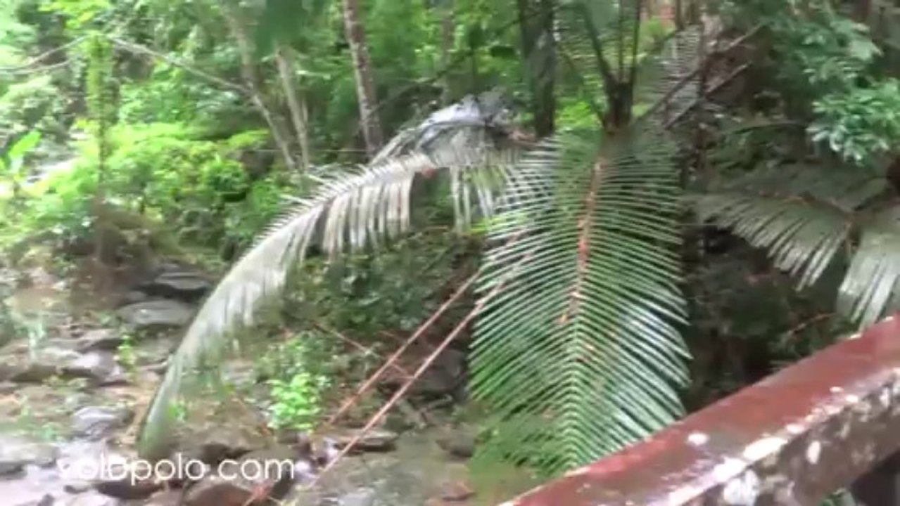 Old Bridge in Pala-U Waterfall Kaeng Krachan National Park