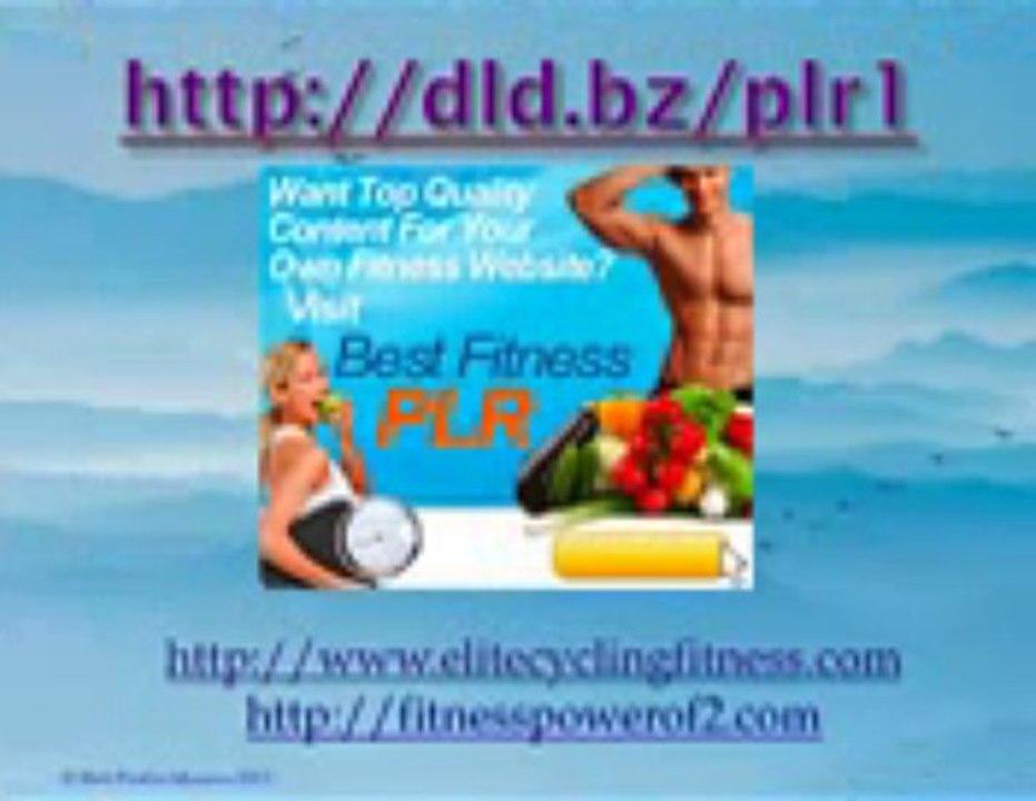 Private Label Rights PLR for Web Profits Masters