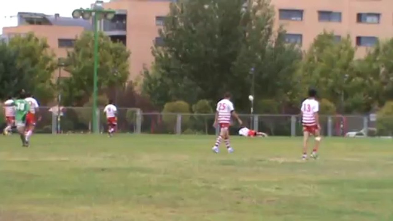 Video 29