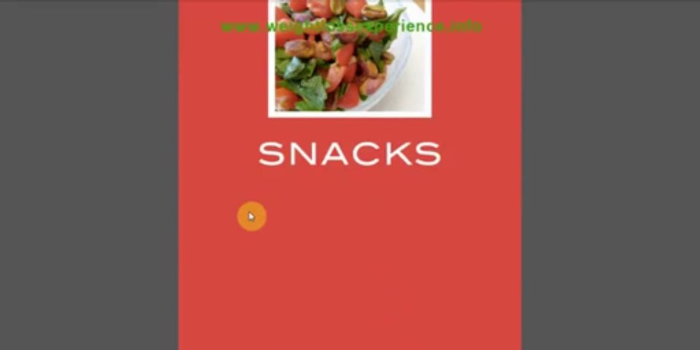 Paleo Cookbook   Recipes for 21st Century