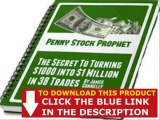 James Connelly Penny Stock Prophet   The Penny Stock Prophet